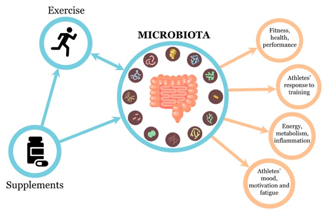 mikrobiom